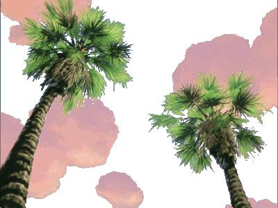 Sky-With-Palm-Trees-80522