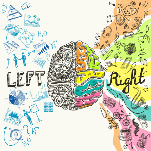 Brain left analytical and right creative hemispheres sketch concept vector illustration